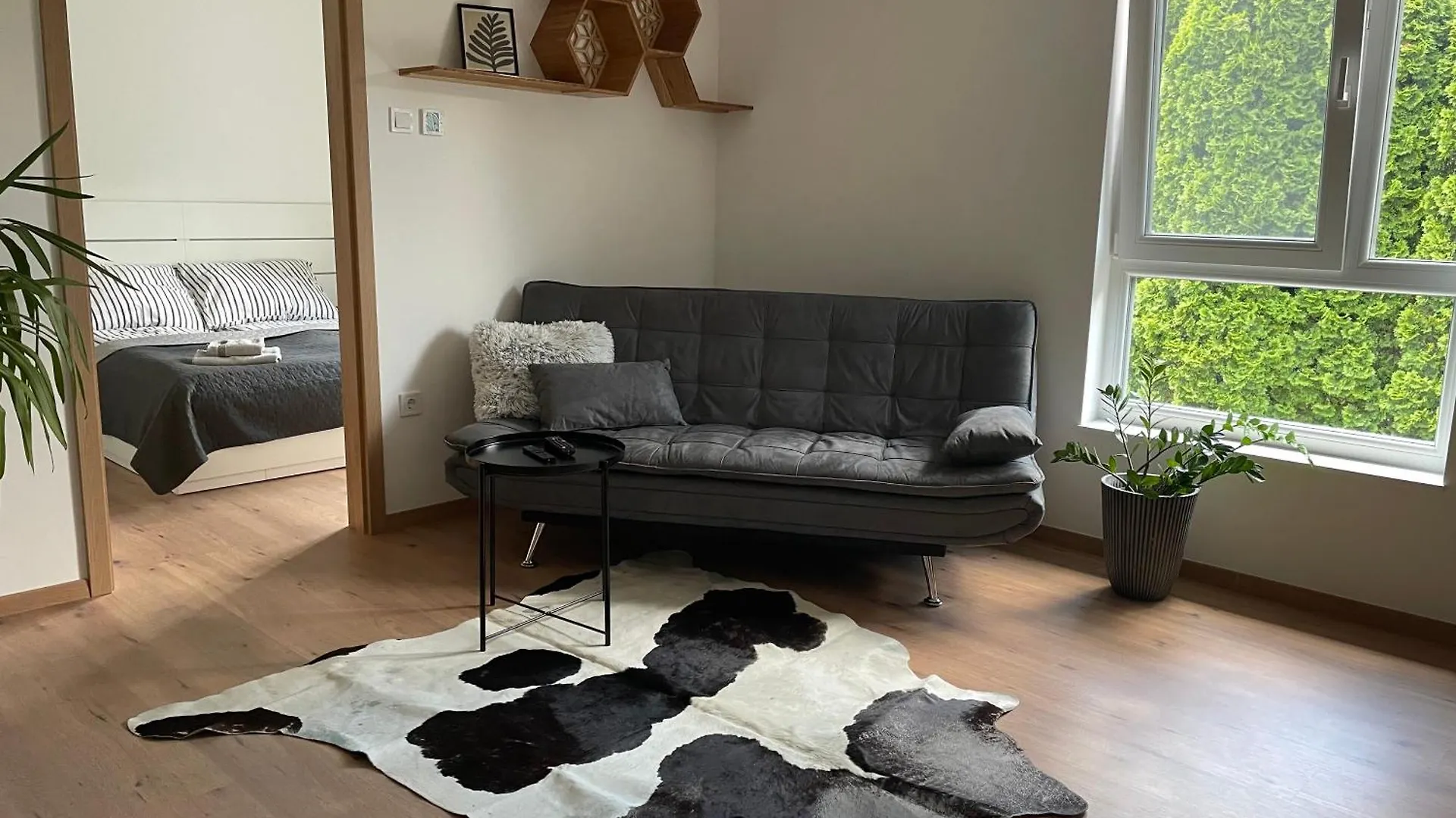 Hexagon Apartman Szeged contacts
